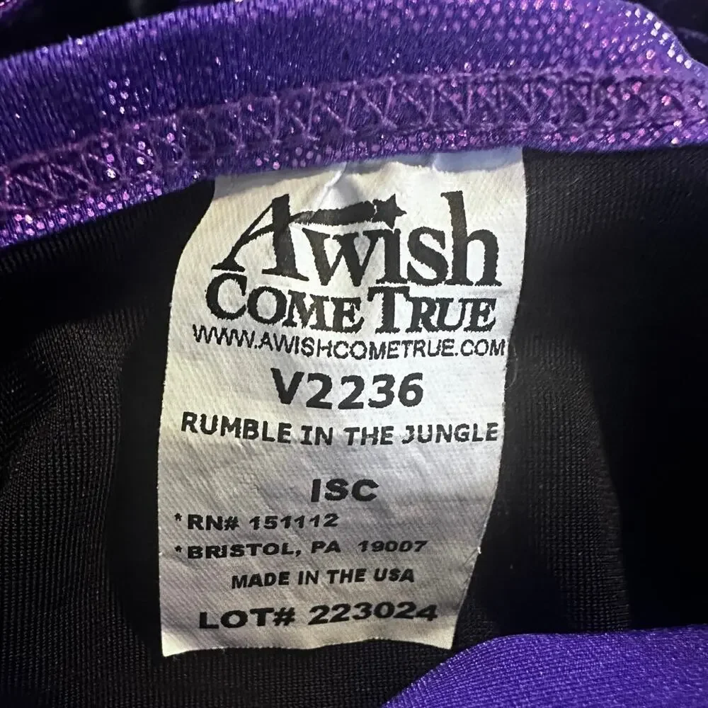 A Wish Come True costume only